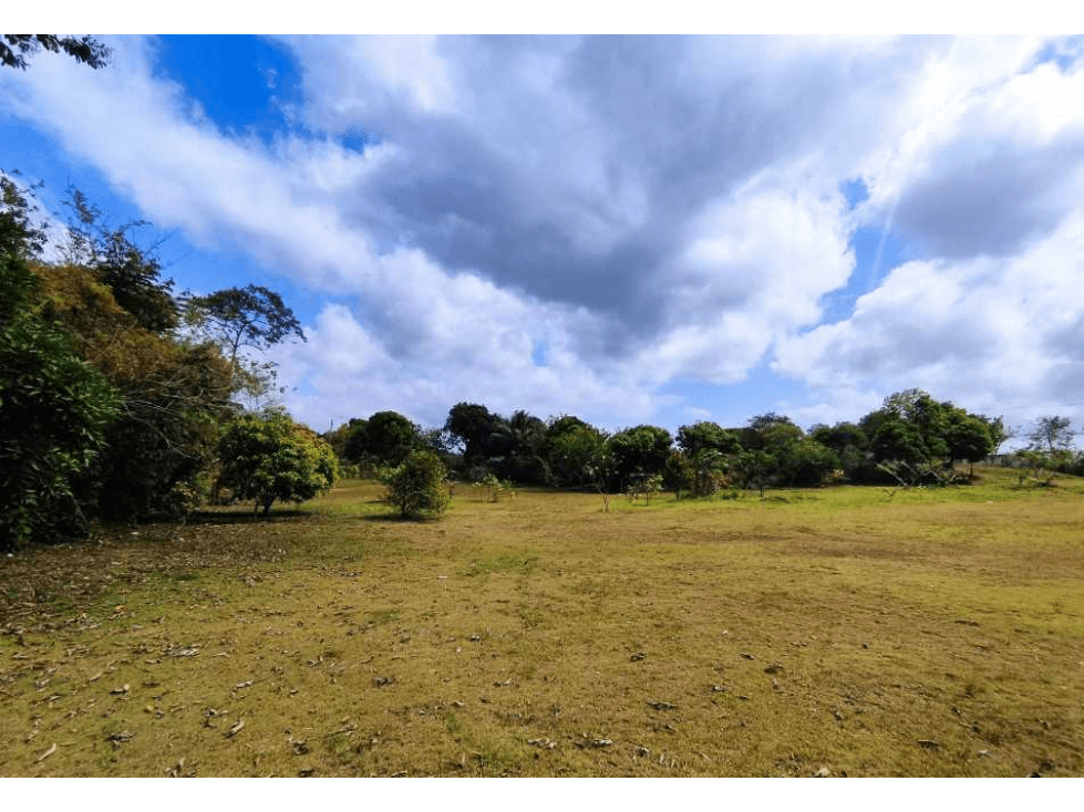 Se Vende Finca Comercial de 16560mt2 Espino La Chorrera - 1