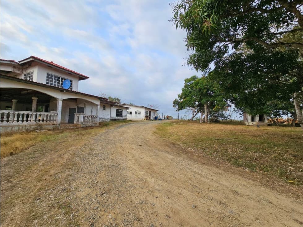 Se vende finca de 32 hectáreas en Totí, Darién - 1