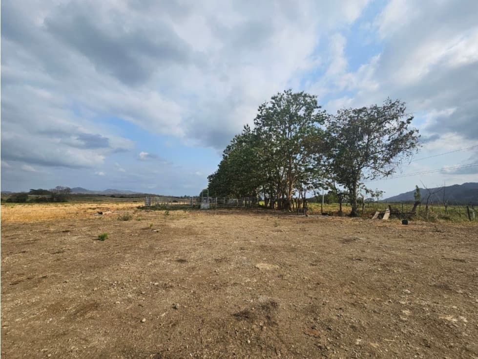 Se vende finca de 80 hectáreas en Torti, Darién - 1