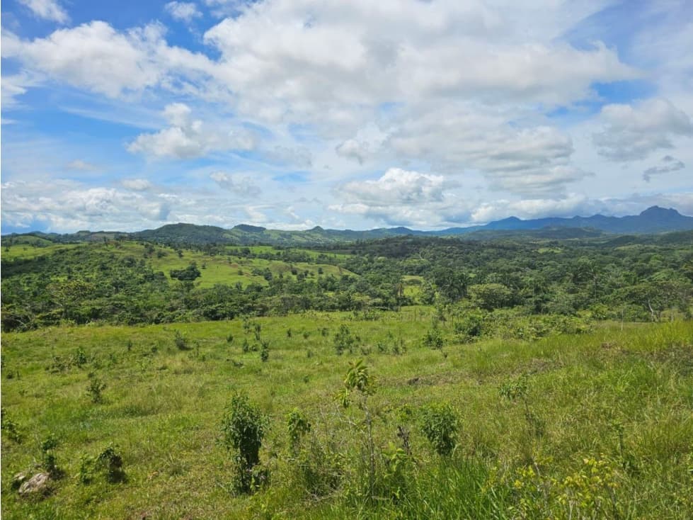 Se Vende Finca de 60 hectáreas en Capira (DR) - 1