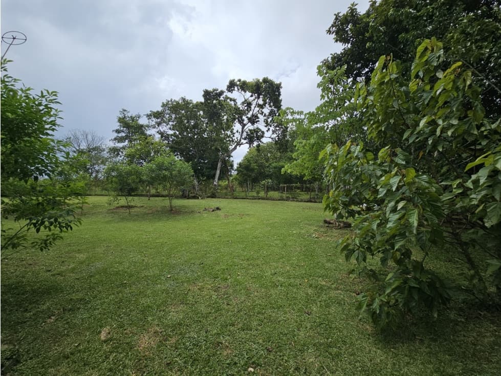 Se vende finca comercial de 3.8 hectáreas en Arraiján, Nuevo Chorrillo - 1