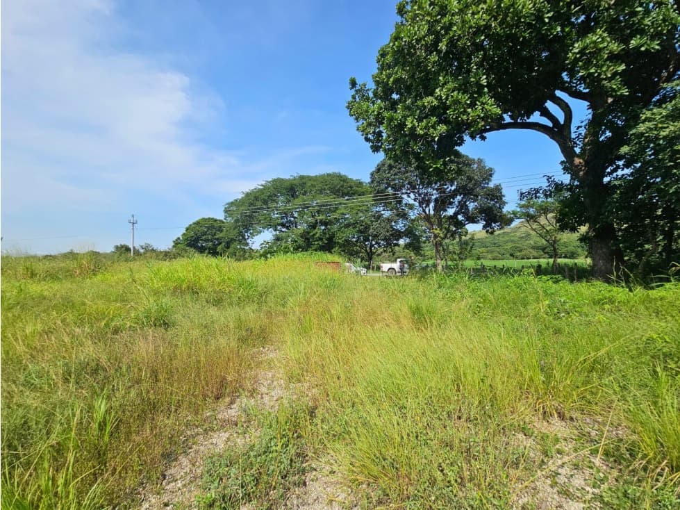 Se vende finca de 30 hectáreas en Penonomé, Vía Ciruelito - 1