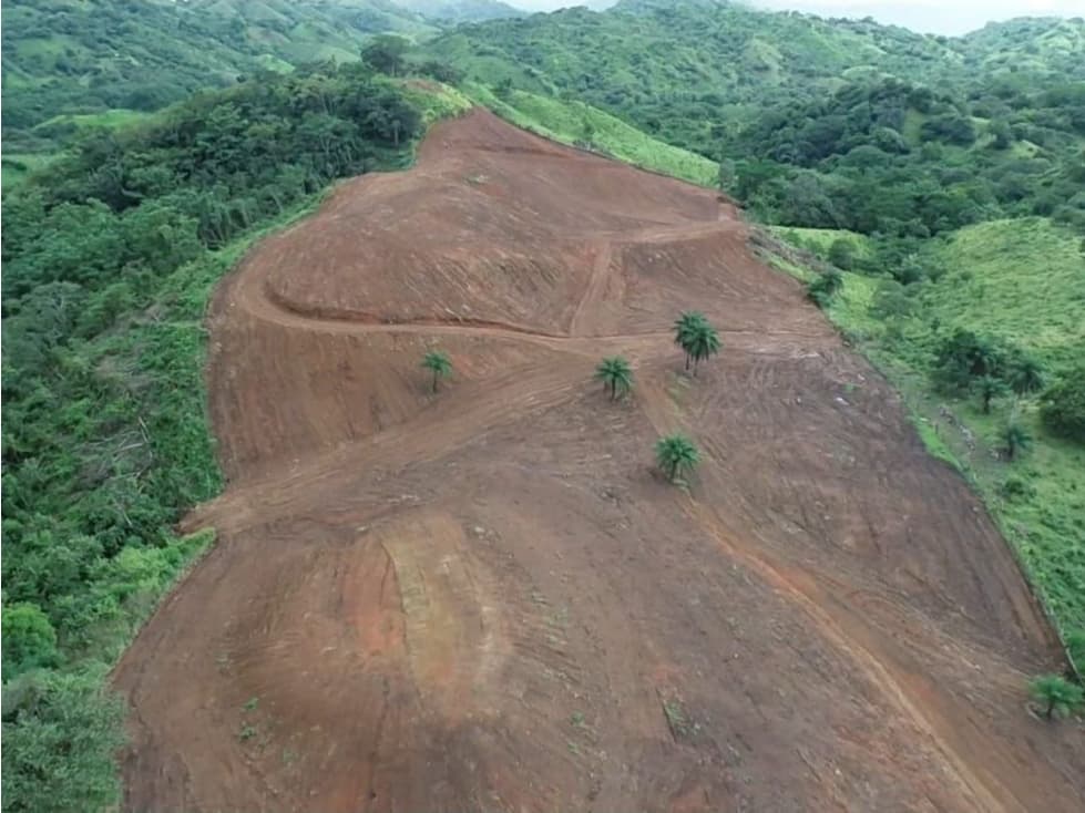 Se vende finca de 5 has con proyecto completo en Pedasí - 1