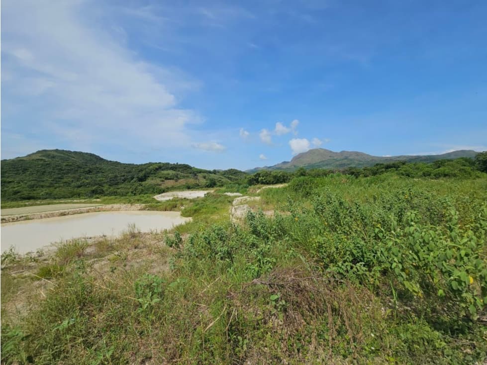 Se vende finca de 10 hectáreas en Penonomé, Vía Cañaveral - 1