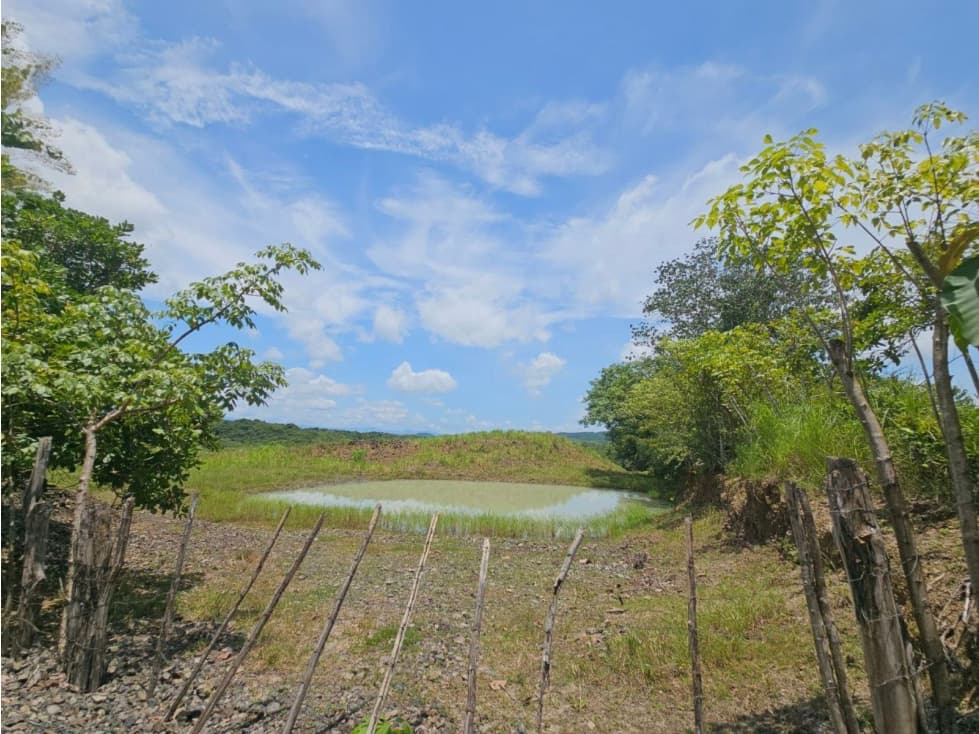 Se vende finca de 5 hectáreas en La Gallinaza, Aguadulce - 1