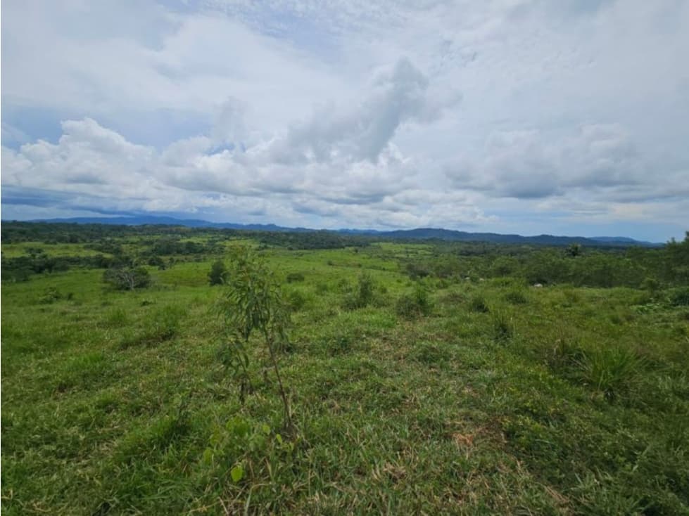 Se Vende Finca ganadera de 152 has en Darién - 1