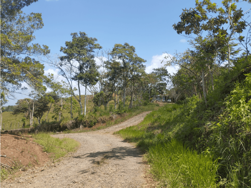 Se Vende Finca de 20.5 hectáreas en El Limite - Capira (DR) - 1
