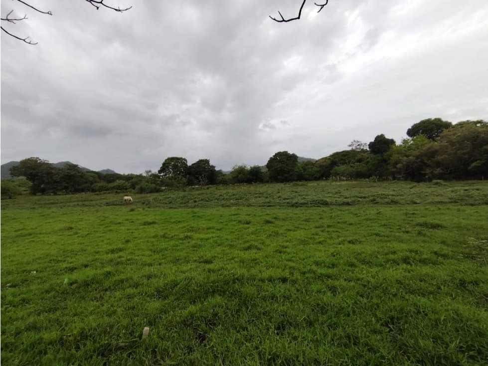 Finca en venta de 35 Has en Panamá Oeste (DR) - 1