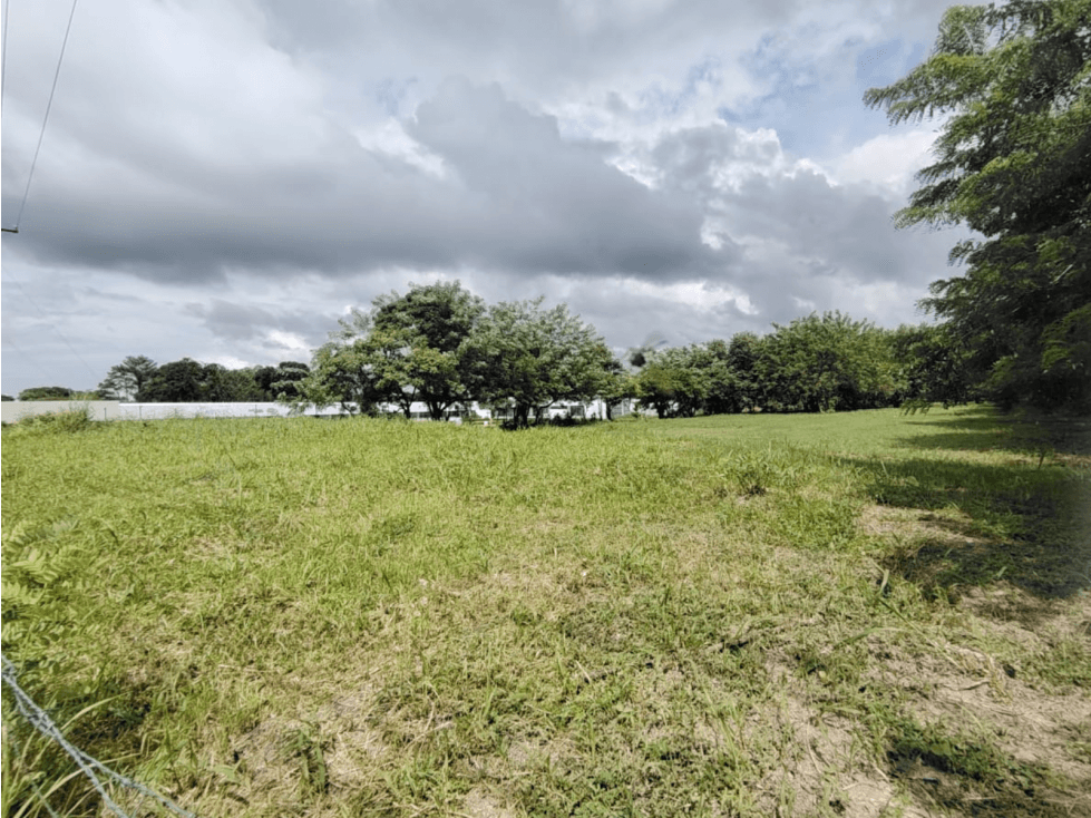 Lote Comercial en venta en Santa Clara-Coclé (DR) - 1
