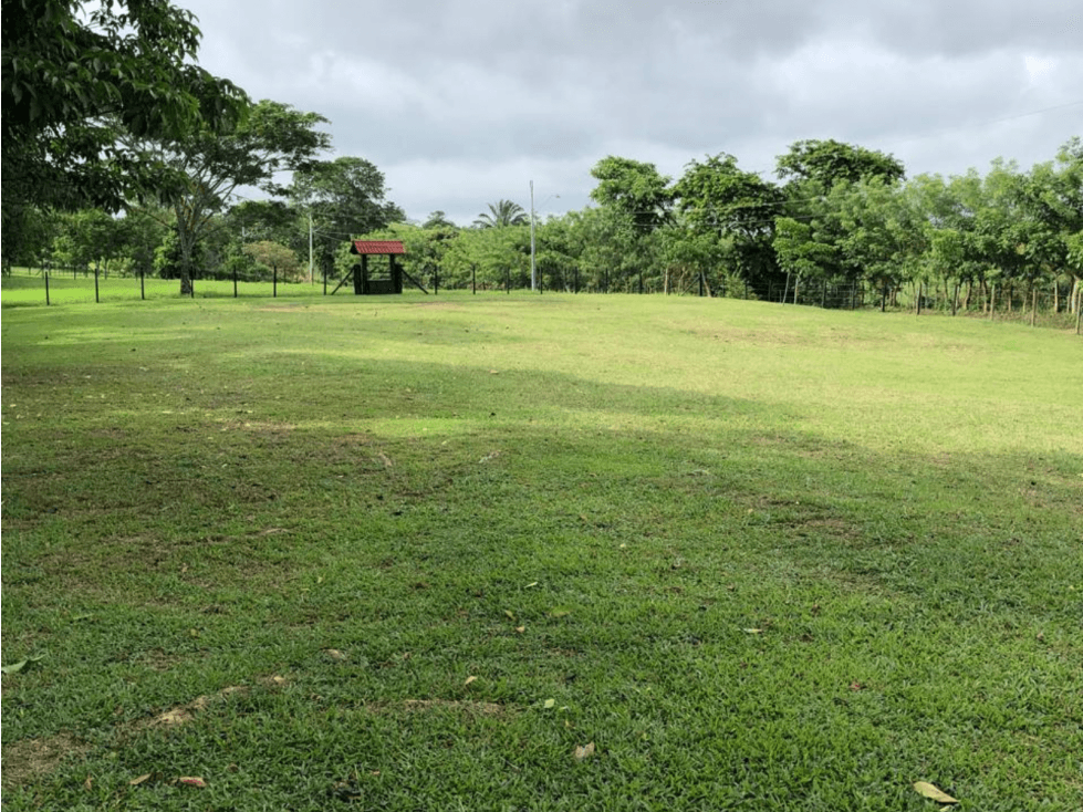 SE VENDEN LOTES DE 2000 MT2 EN CHORRERA (PD) - 1