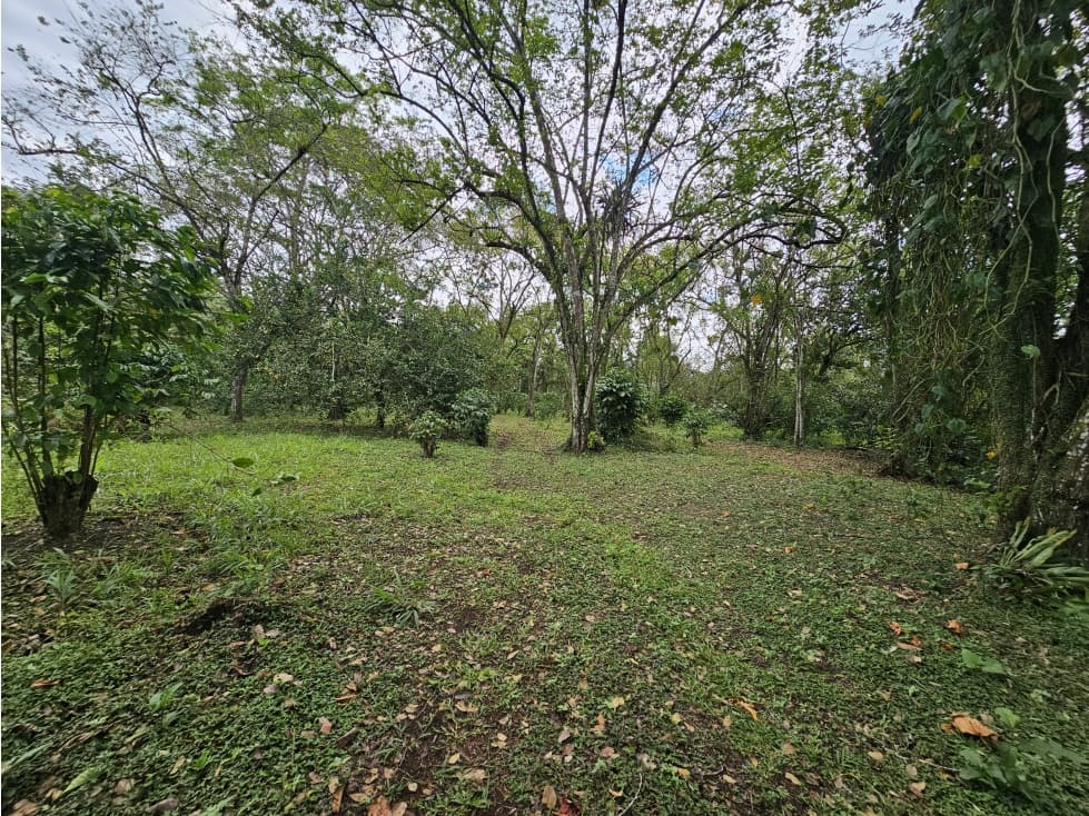 Se Vende Finca en Capira 5.5 Hectáreas - 1