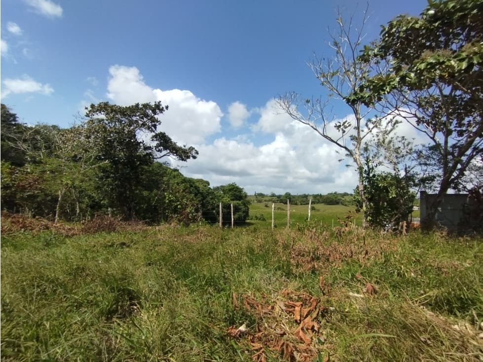 Se Vende Finca de 5.5 hectáreas en El Limite - Capira (DR) - 1