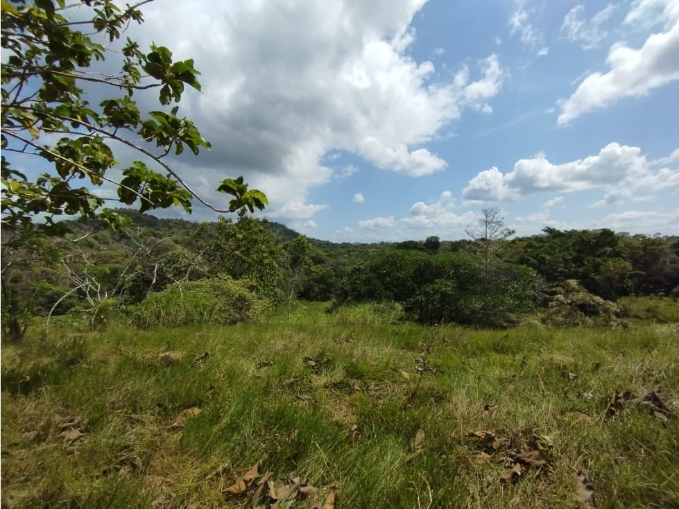 Se Vende Finca de 15 HAS el Lirio Arraijan (DR) - 1