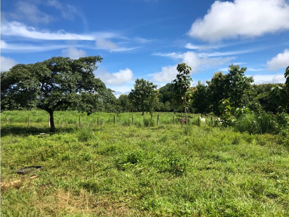 Terreno en venta de 12,907m2 en Montijo-Veraguas (DR) - 1