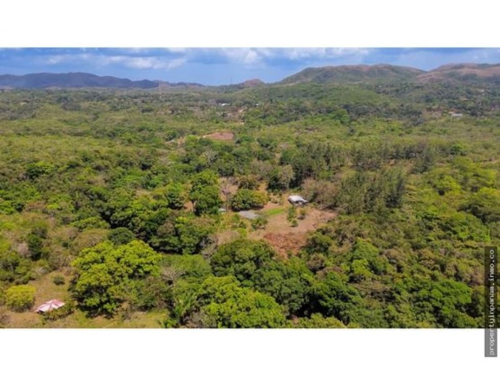 FINCA EN LA NEGRITA-PENOMÉ (CP) - 1