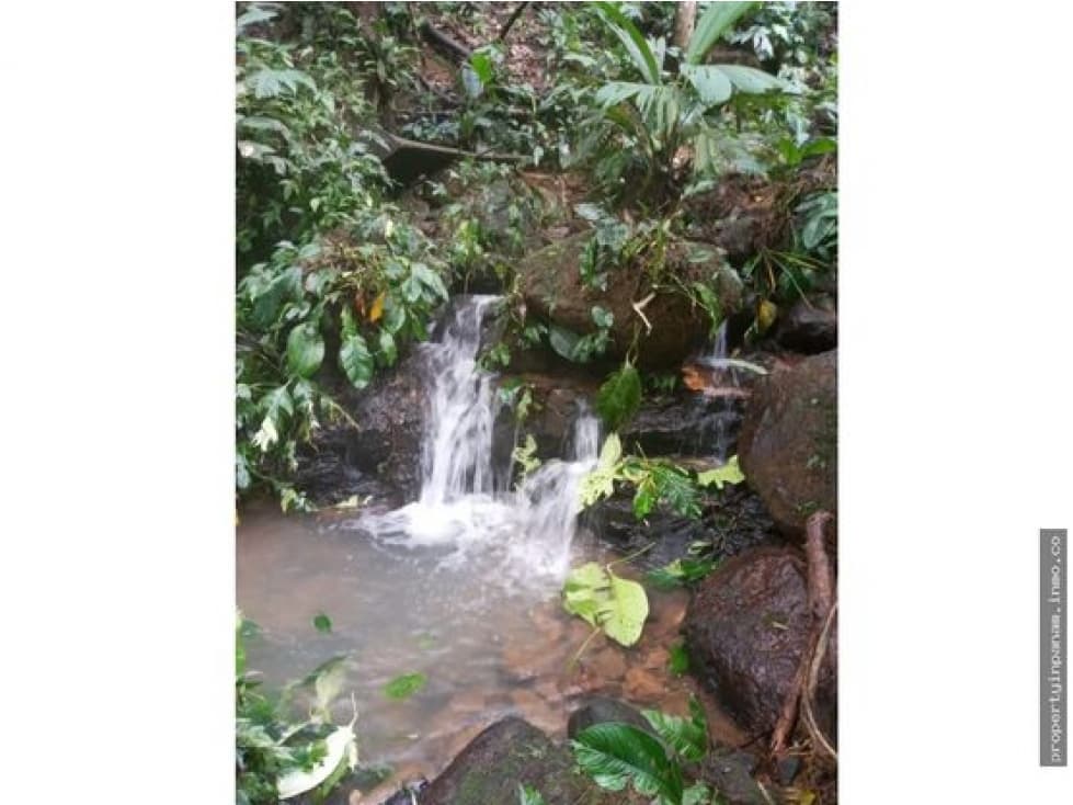 FINCA CON ALTA ELEVACIÓN EN TOCUÉ PENOME (CP) - 1