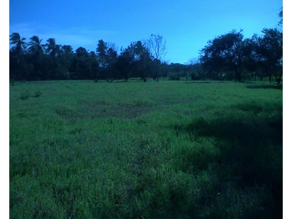 FINCA CHIRU  JUAN HOMBRON  COCLE (CP) - 1