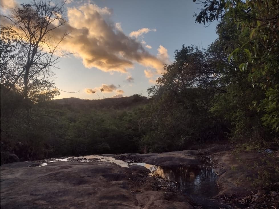 FINCA AUTO SOSTENIBLE EN VERAGUAS (CP) - 1