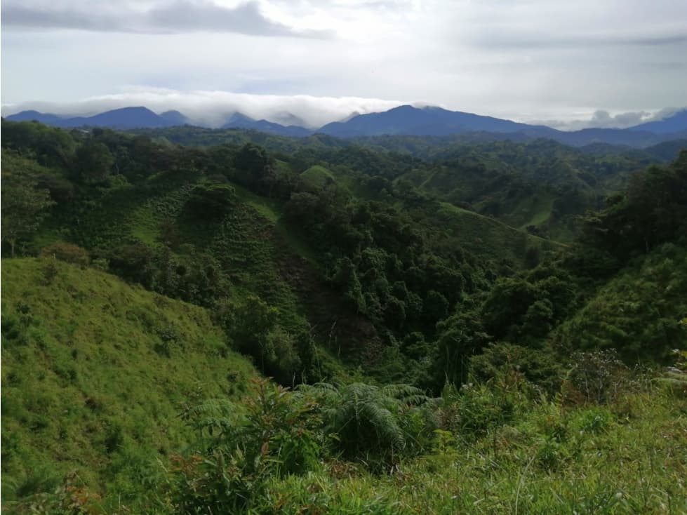 Finca en Caisán, Chiriquí (CP) - 1