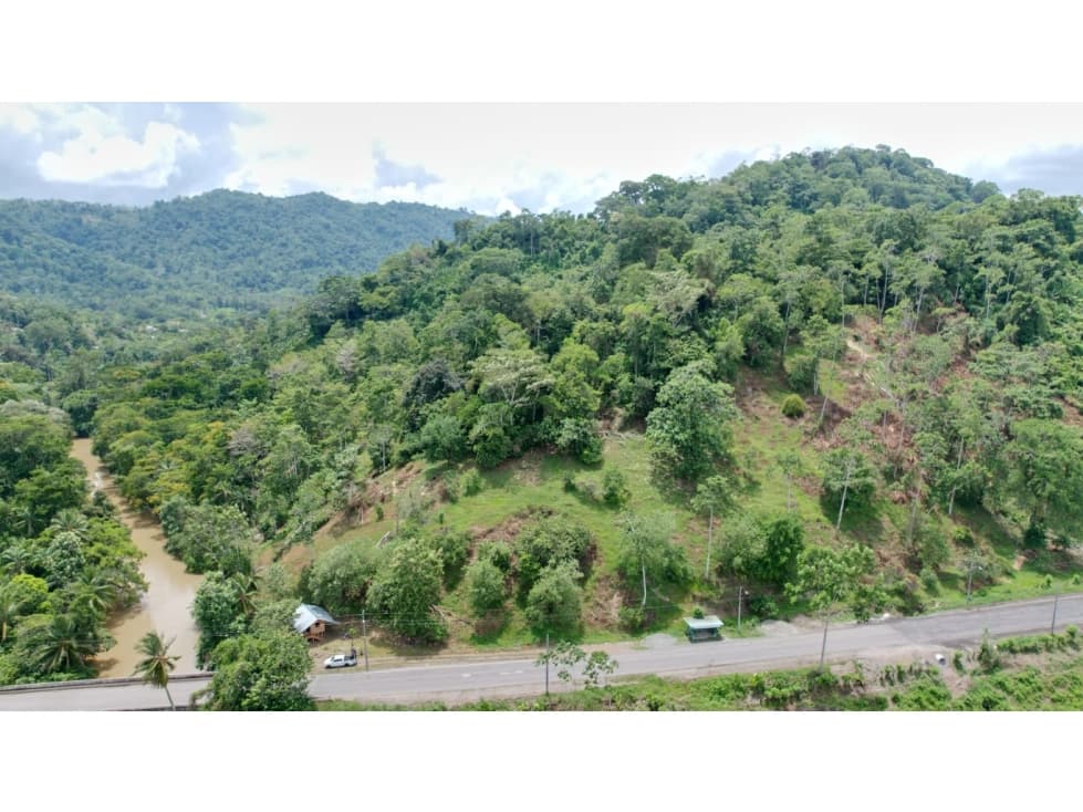 Se Venden 20 Hectáreas de Terreno en Río Oeste, Almirante - 1