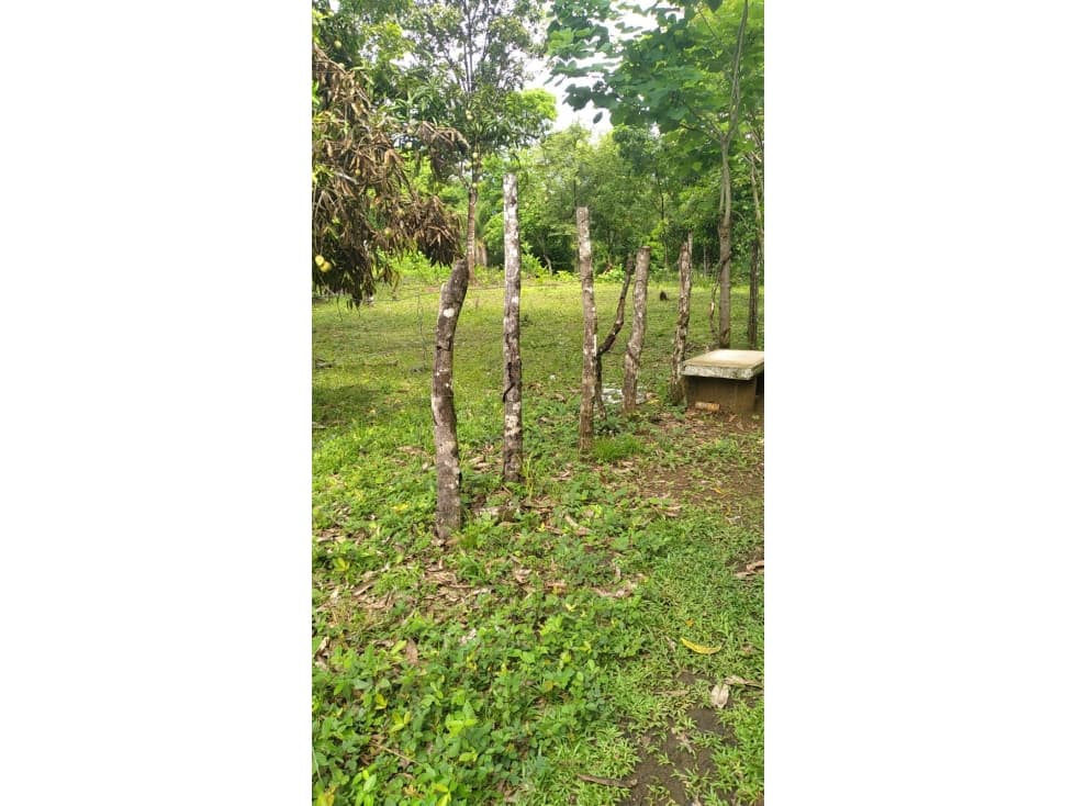 Se vende terreno en Rio de Jesús, Veraguas - 1