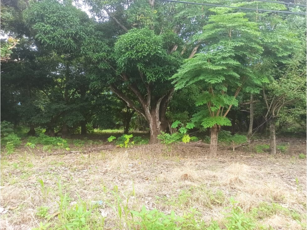 Terreno Plano en Nueva Gorgona - 1