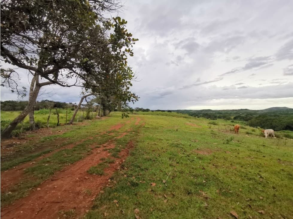 VENTA DE FINCA EN AGUADULCE CON CERTIFICACION AGROTURISTICA - 1