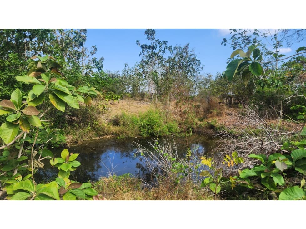 Se Vende Terreno De 15.5 Hectáreas, Pocrí / Paritilla, Las Tablas - 1