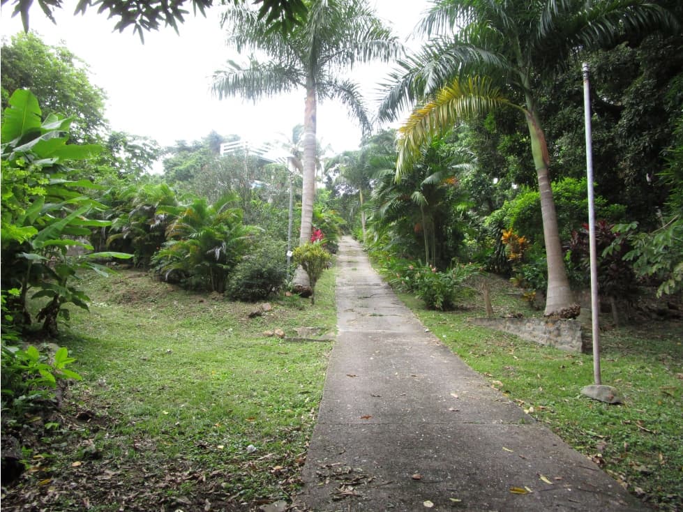 Venta de terreno en Isla Taboga - 1