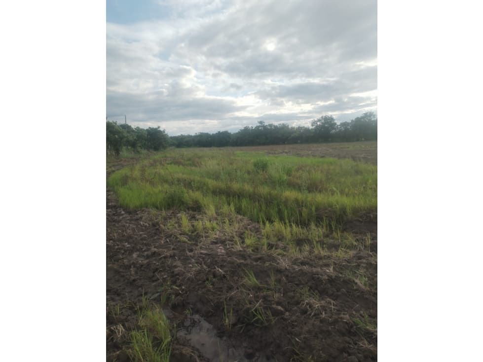 Se Vende Finca Plana en Puerto Gago, Penonome - 1