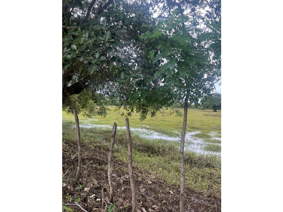 Finca de 18 has Planas orilla Rio Santa Maria - 1