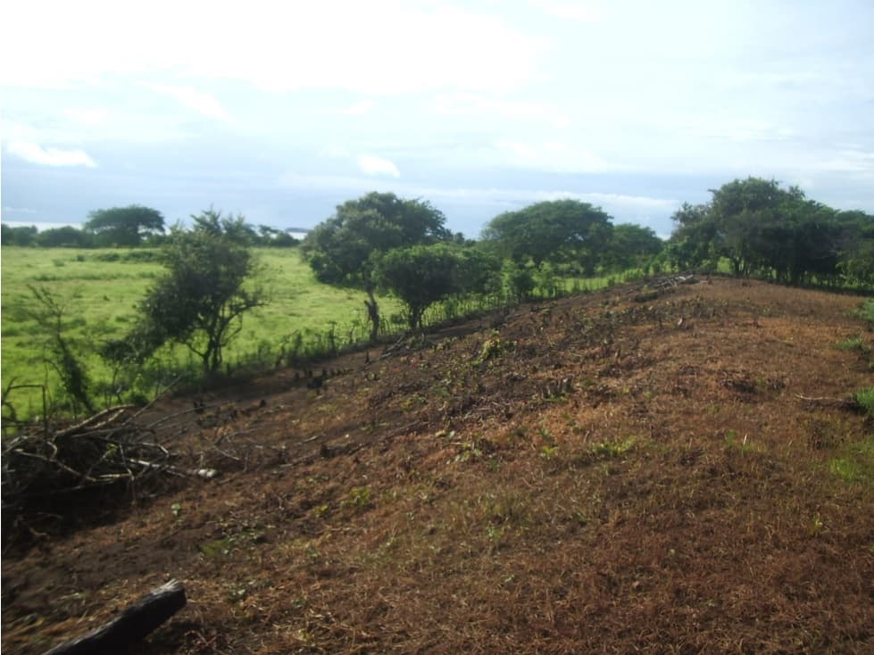SE VENDE TERRENO EN LOS SANTOS - AZUERO - 1