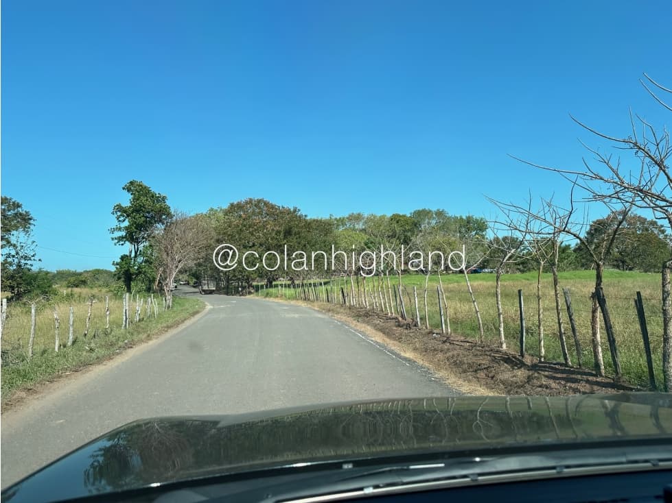 Se Vende Finca de Finca Ganadera de 308.5 ha. en Los Llanos de Ocú - 1