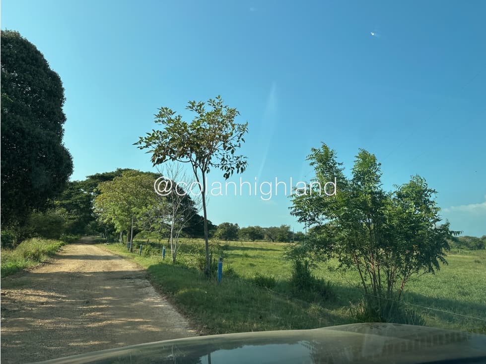 Se Vende Finca de 174.4 Hectareas en La Villa de Los Santos - 1