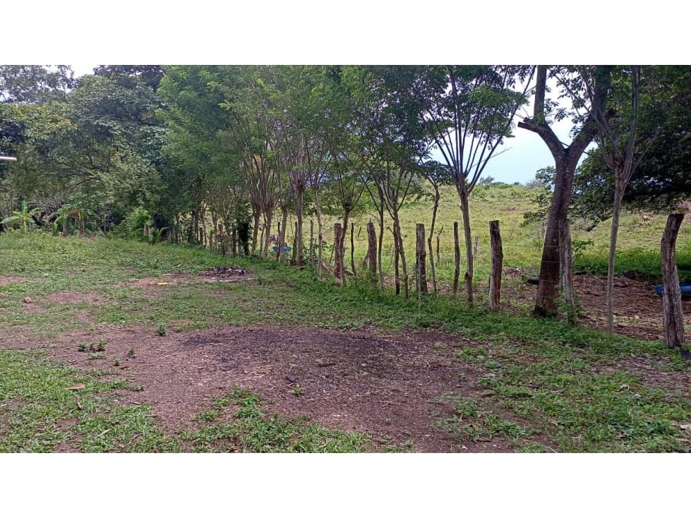 Venta de Terreno en Parita 60 HECTARIAS - 1