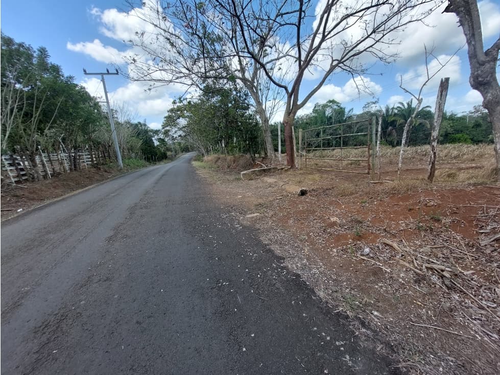 Se vende finca de 8 Has en Chorrera Zanguengas JS - 1