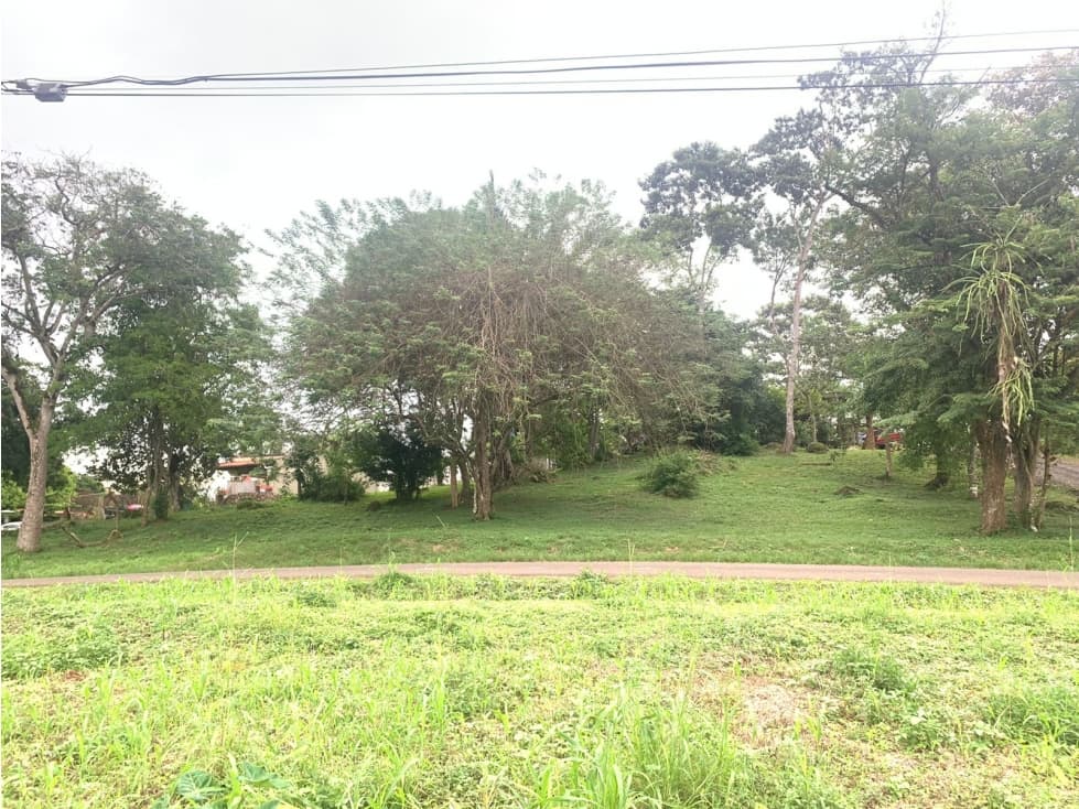 VENTA DE LOTE DE TERRENO EN LA CHORRERA - 1