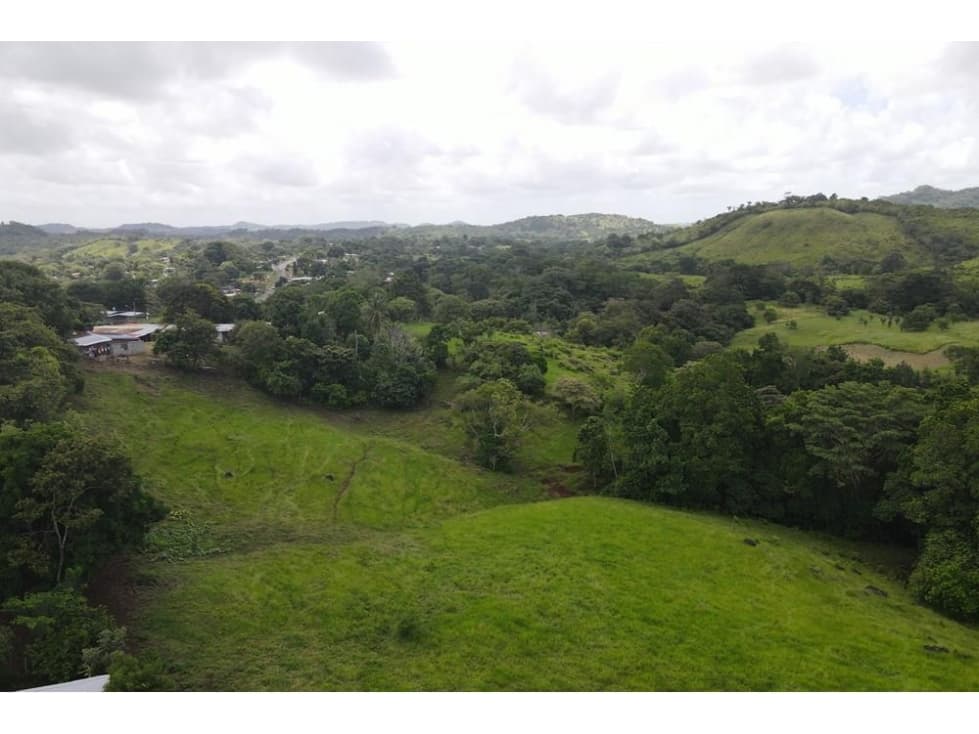 Se vende finca en La Chorrera, Panamá Oeste - 1