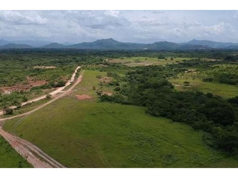 Venta de finca en Penonomé, Coclé - 1