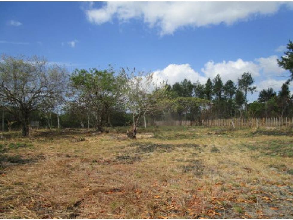 Venta de terreno en Rio Hato, Panamá - 1
