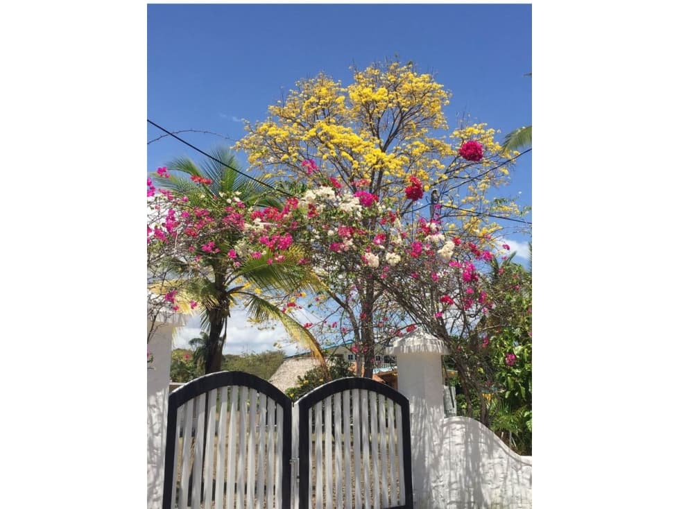 se alquila casa en san carlos panama oeste - 1