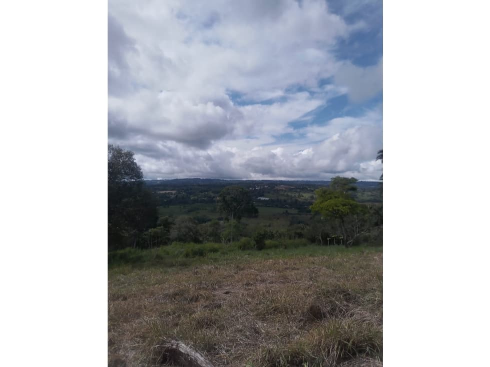 Venta de finca de cafe y platano en Rio Sereno - 1