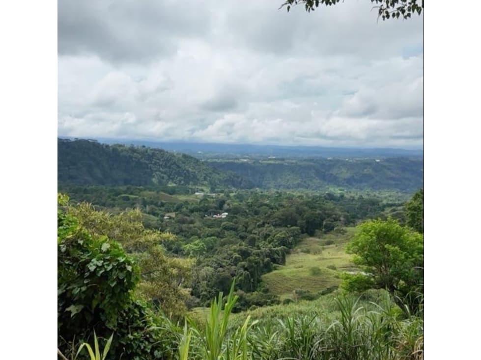 Venta de finca de agroturismo en Renacimiento - 1