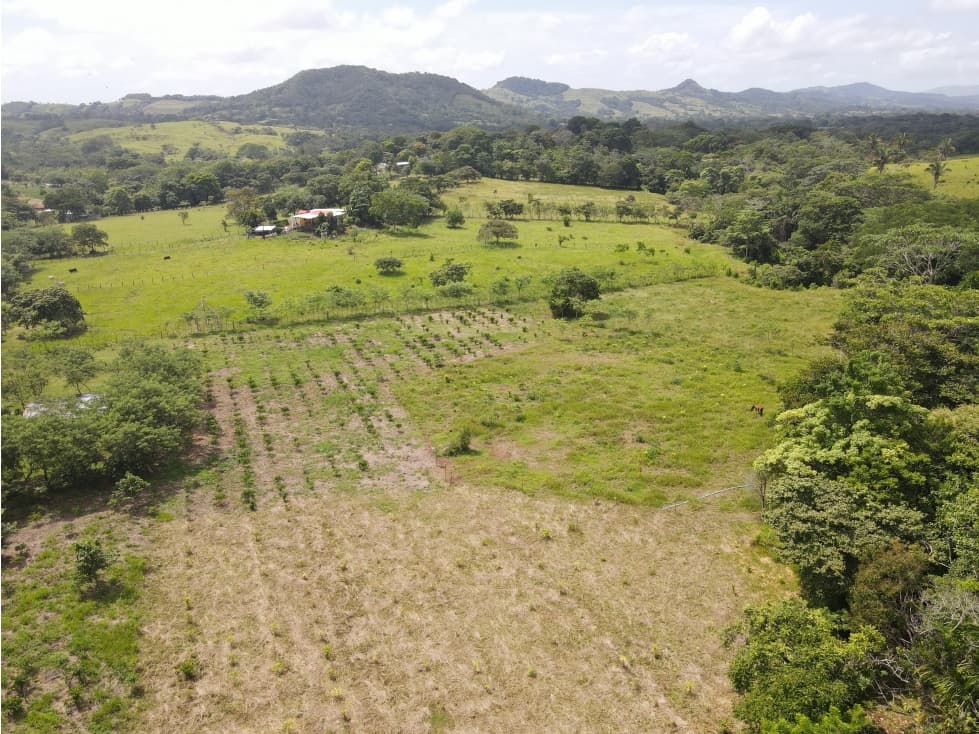 Se vende finca en La Chorrera, Panama Oeste - 1
