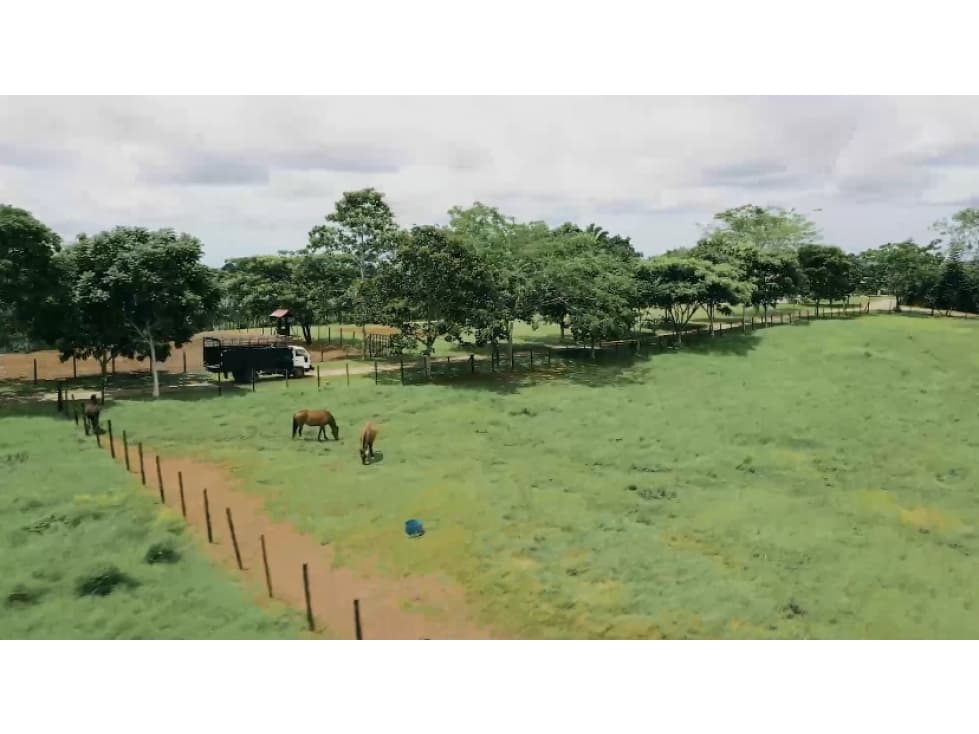 Venta de Finca en Chorrera, 2,9 Ha, - 1