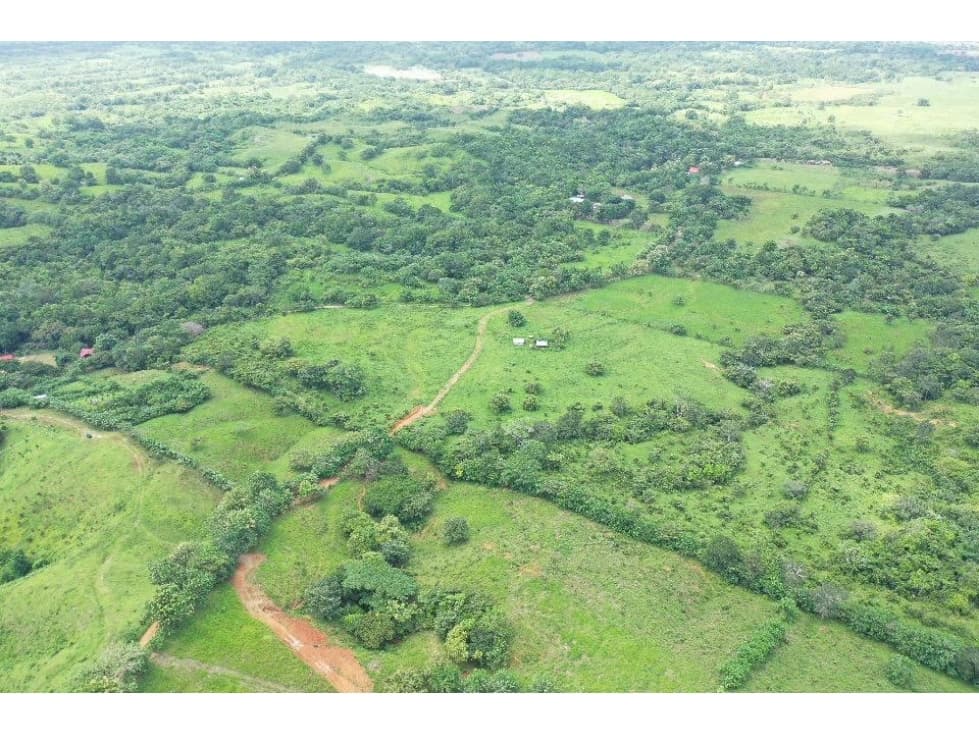 Se vende Terreno en Tanara Chepo - 1