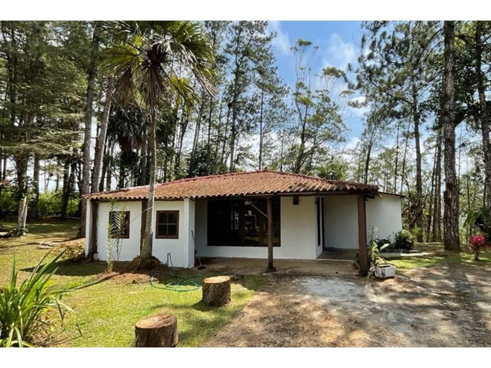 Venta terreno con cabaña en Altos de Cerro Azul, Chilibre - 1