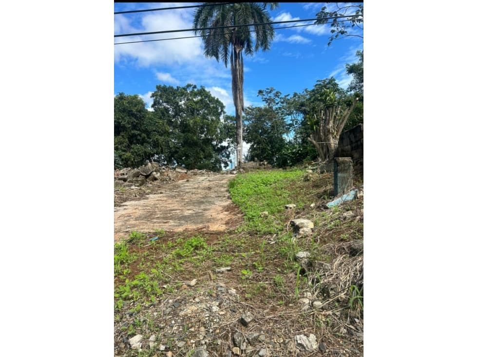 Ganga Se vende terreno comercial en La Pulida Pueblo Nuevo JS - 1