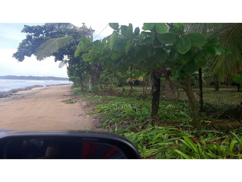 Se vende Terreno de 10,000 mts2 frente al mar Caribe en Bocas del Toro - 1