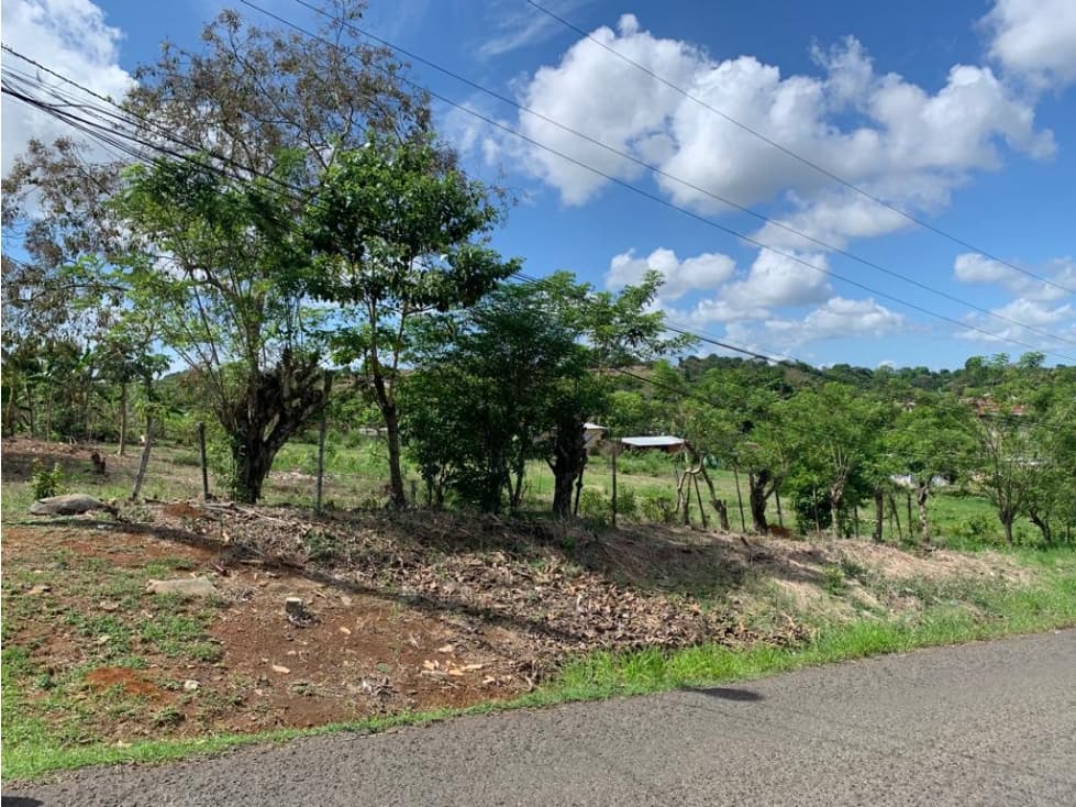 VENTA TERRENO CENTRICO EN LA CHORRERA - 1